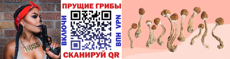 Псилоцибиновые грибы прущие грибы  Феодосия 