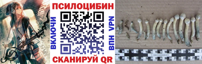 Галлюциногенные грибы Cubensis Феодосия